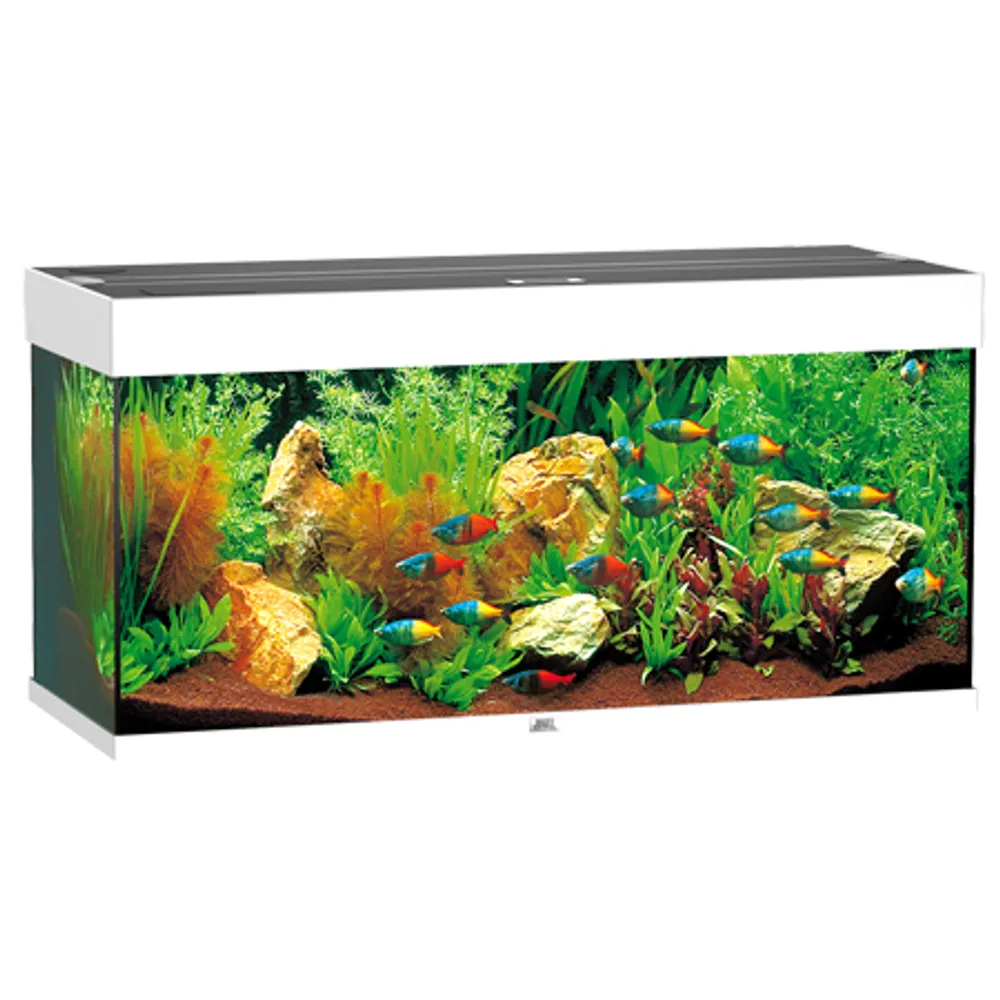 Juwel Akvarium Rio 180 L Hvid 101x41x50 cm